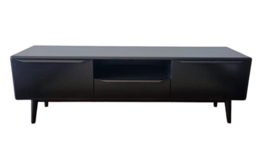 ELON Entertainment Unit